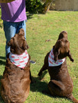 Perry's Dog Bandanas