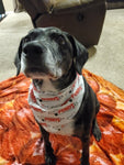 Perry's Dog Bandanas